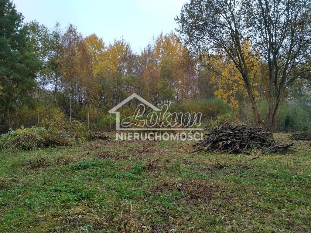 Działka budowlana 3030 m², Grębowo - zdjęcie 4