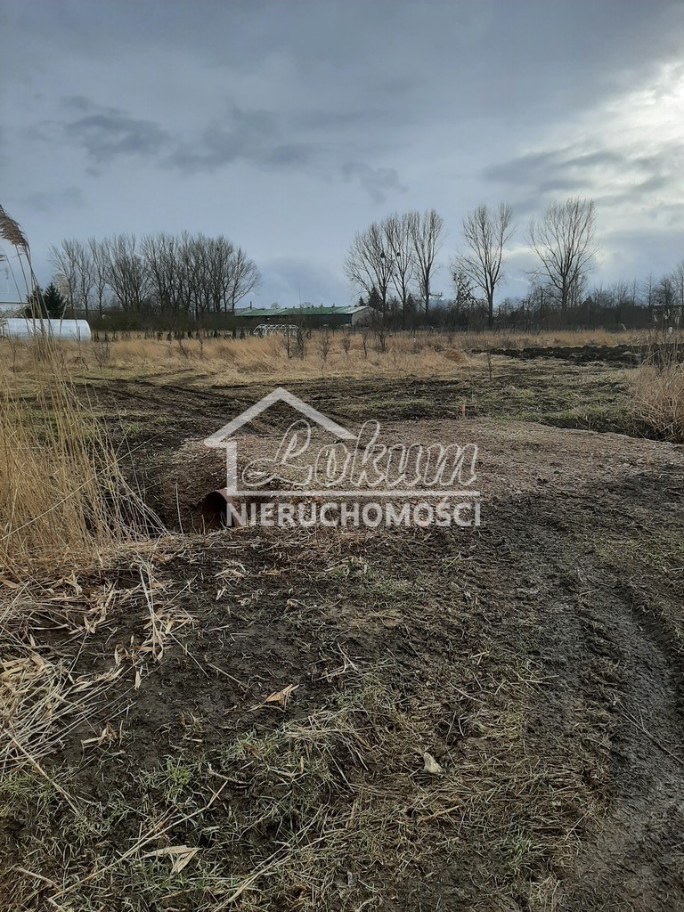 Działka budowlana 1001 m², Pyrzyce - zdjęcie 3