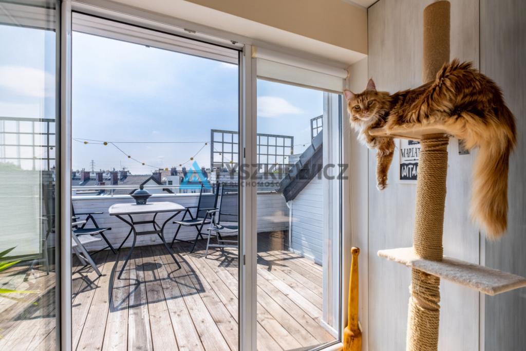 Super komfortowy loft Jasień + 2 miejsca w hali - zdjęcie 6