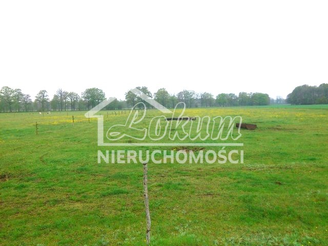 Działka rolna 3145 m², Rzędziny - zdjęcie 3