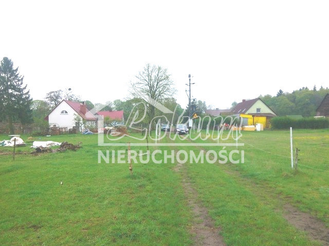 Działka rolna 3145 m², Rzędziny - zdjęcie 2