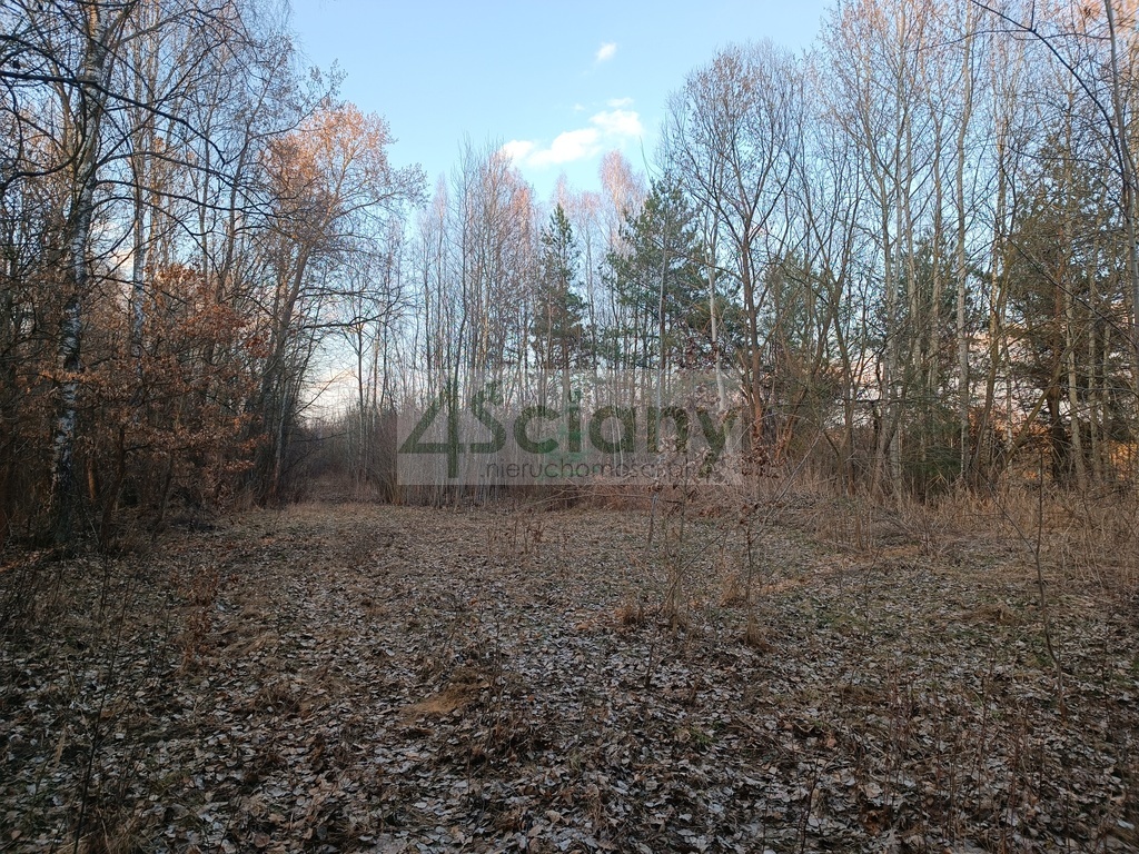 Działka budowlana 1836&nbsp;m², Ojrzanów - zdjęcie 11