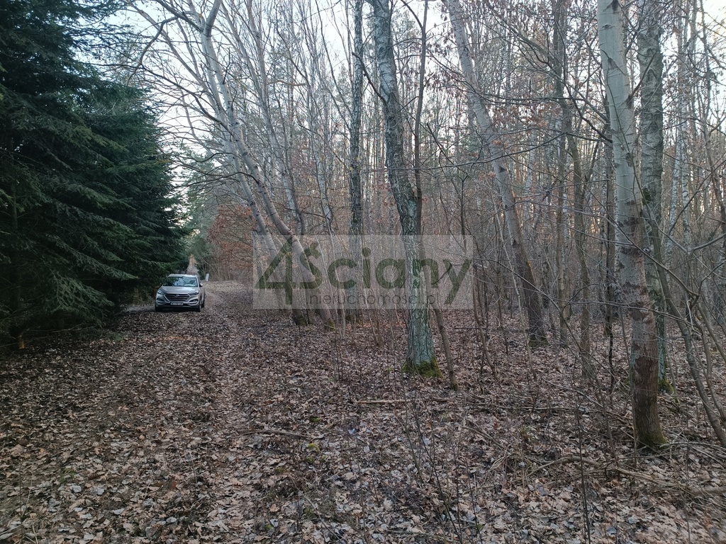 Działka budowlana 1836&nbsp;m², Ojrzanów - zdjęcie 2