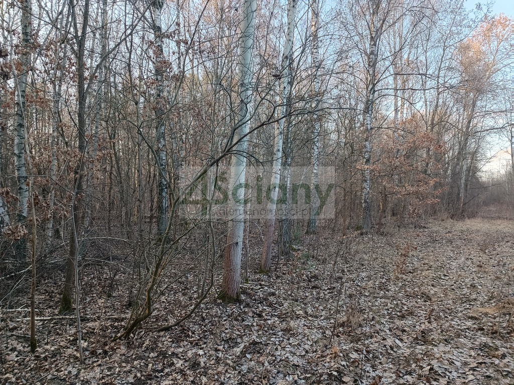 Działka budowlana 1240&nbsp;m², Ojrzanów - zdjęcie 10