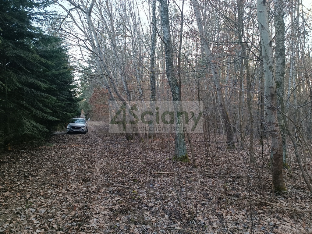 Działka budowlana 1245&nbsp;m², Ojrzanów - zdjęcie 9