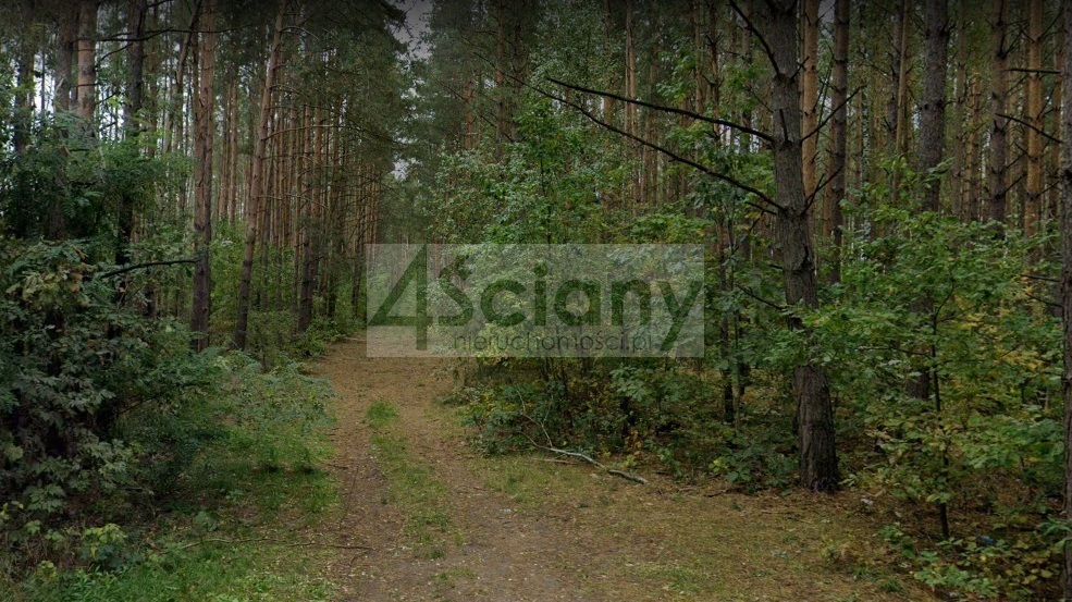Działka budowlana 1250&nbsp;m², Ojrzanów - zdjęcie 13