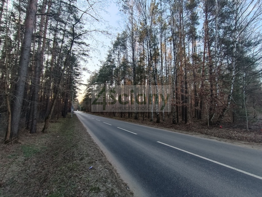 Działka budowlana 1250&nbsp;m², Ojrzanów - zdjęcie 4