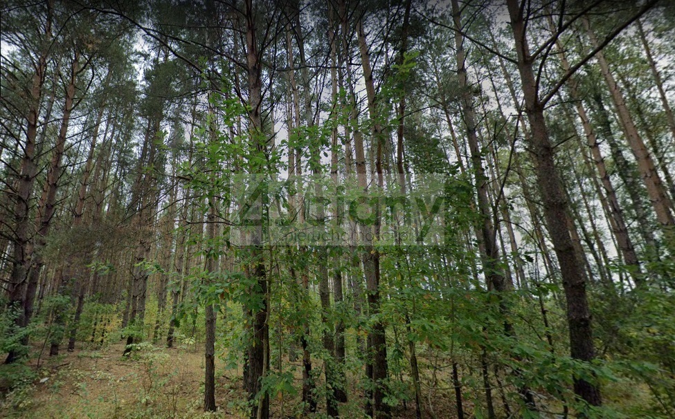 Działka budowlana 1250&nbsp;m², Ojrzanów - zdjęcie 14
