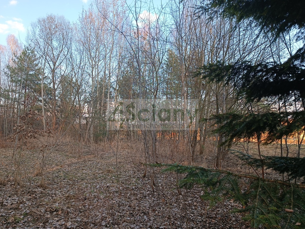 Działka budowlana 1300&nbsp;m², Ojrzanów - zdjęcie 12