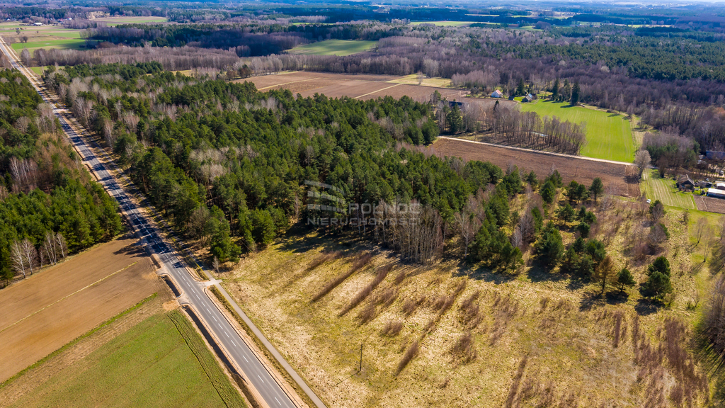 Działka rolna 3362&nbsp;m², Rogowo - zdjęcie 5