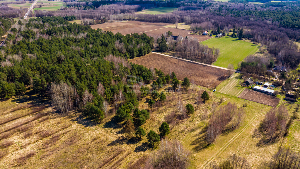 Działka rolna 3362&nbsp;m², Rogowo - zdjęcie 6