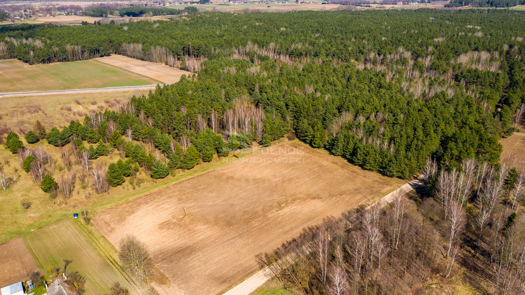 Działka rolna 3362&nbsp;m², Rogowo - zdjęcie 7