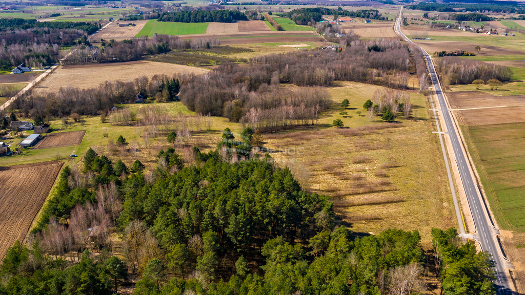 Działka rolna 3362&nbsp;m², Rogowo - zdjęcie 4