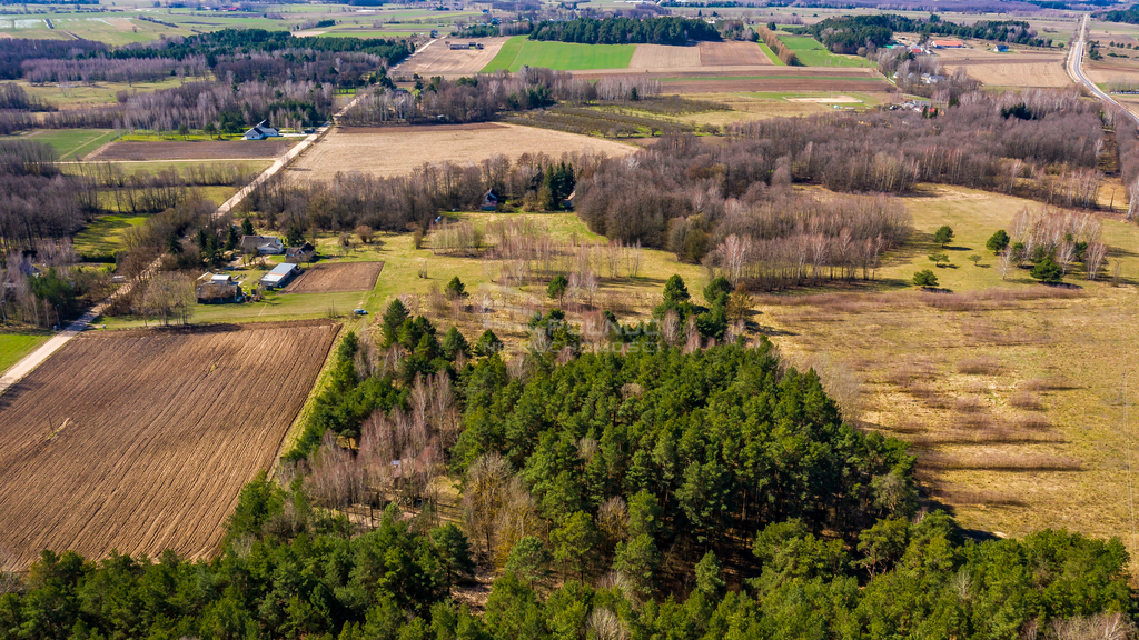 Działka rolna 3362&nbsp;m², Rogowo - zdjęcie 3