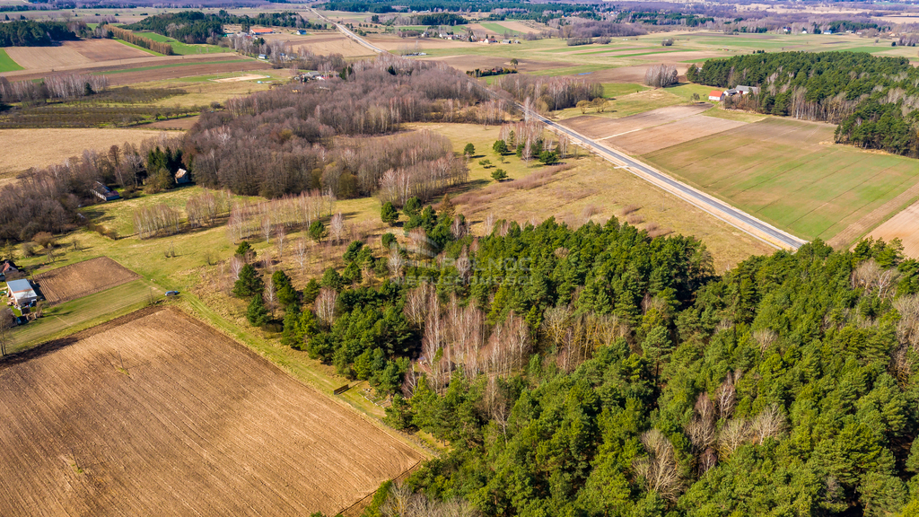 Działka rolna 3362&nbsp;m², Rogowo - zdjęcie 2