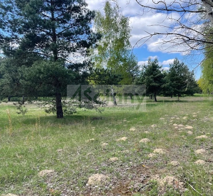 Działka budowlana 1350&nbsp;m², Ojrzanów - zdjęcie 1