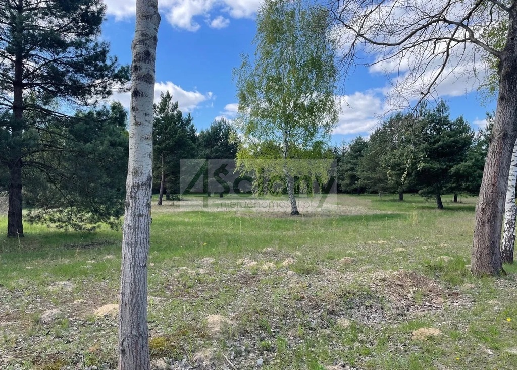 Działka budowlana 2231&nbsp;m², Ojrzanów - zdjęcie 2