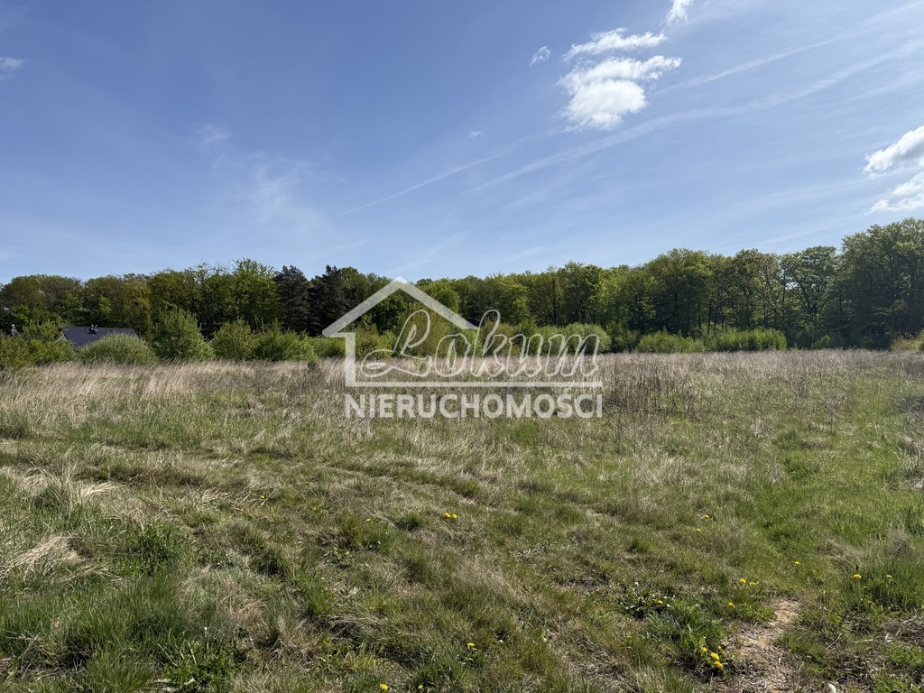 Działka budowlana 1231&nbsp;m², Siedlice - zdjęcie 2