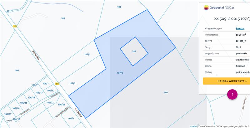 Działka inwestycyjna 5,98&nbsp;ha, Łebno, Kartuska - zdjęcie 4