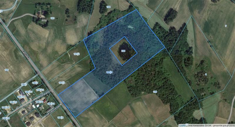 Działka inwestycyjna 5,98&nbsp;ha, Łebno, Kartuska - zdjęcie 3