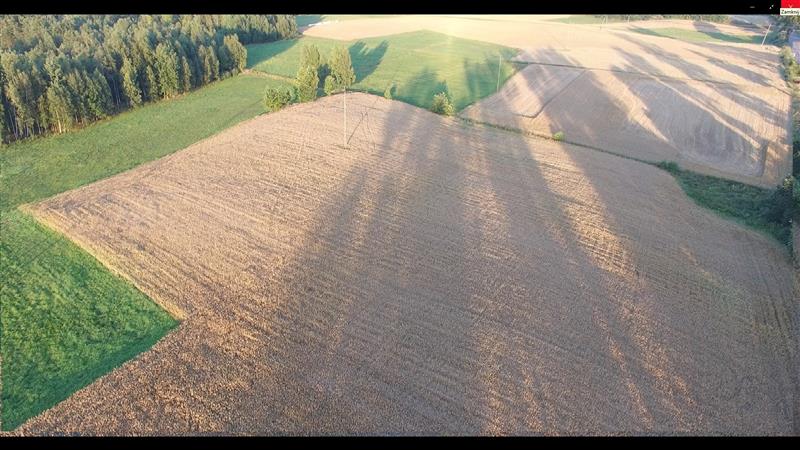 Działka inwestycyjna 5,98&nbsp;ha, Łebno, Kartuska - zdjęcie 8