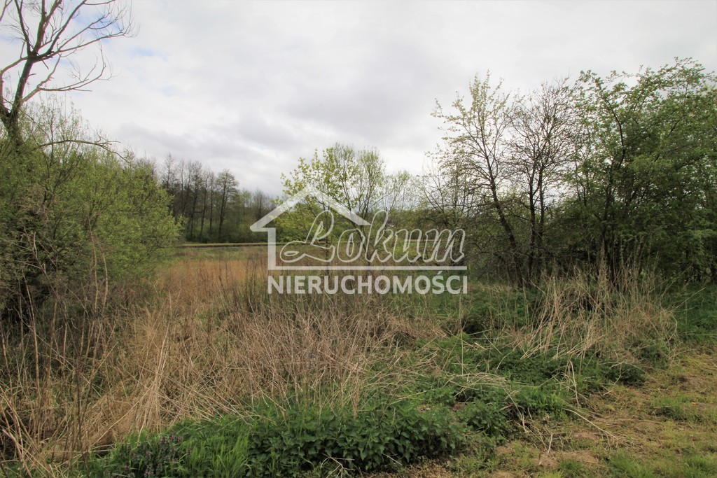 Działka budowlana 3500 m², Kąkolewice - zdjęcie 5