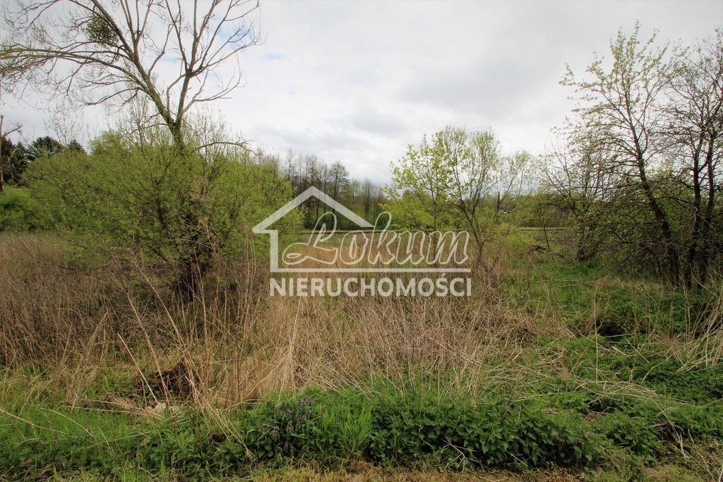 Działka budowlana 3500 m², Kąkolewice - zdjęcie 4