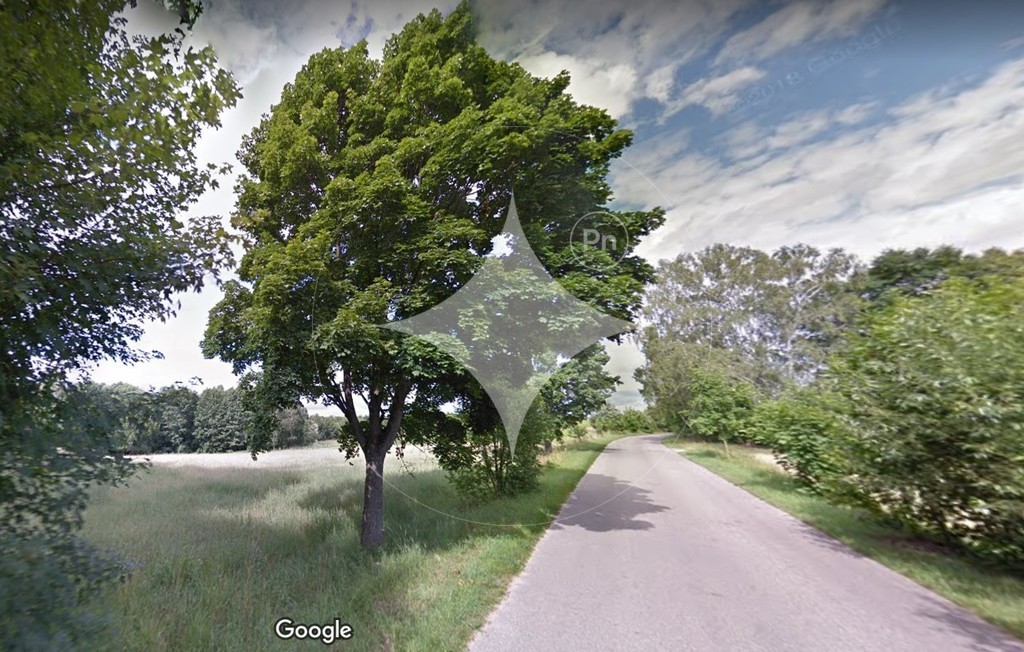 Działka rolna 3081&nbsp;m², Brukowo - zdjęcie 4