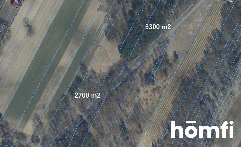 Działka budowlana 2700&nbsp;m², Pągowiec - zdjęcie 2