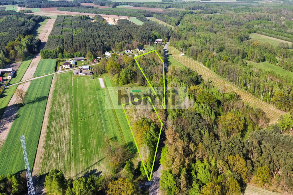 Działka budowlana 2700&nbsp;m², Pągowiec - zdjęcie 11
