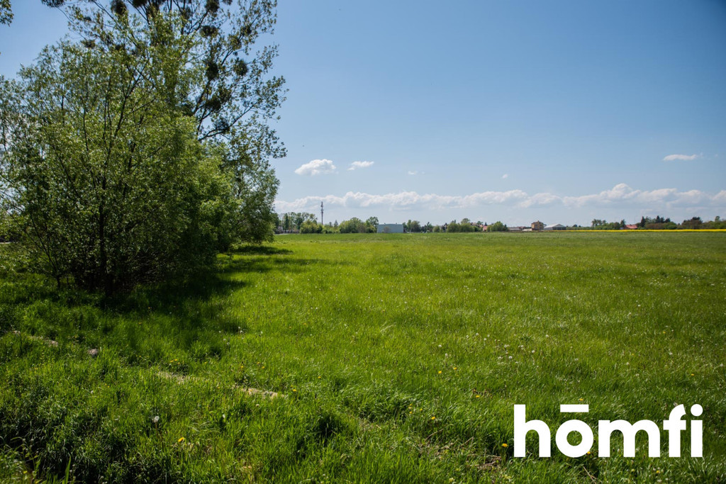 Działka rolna 6770 m², Radom, Dzierzków, Lubelska - zdjęcie 10