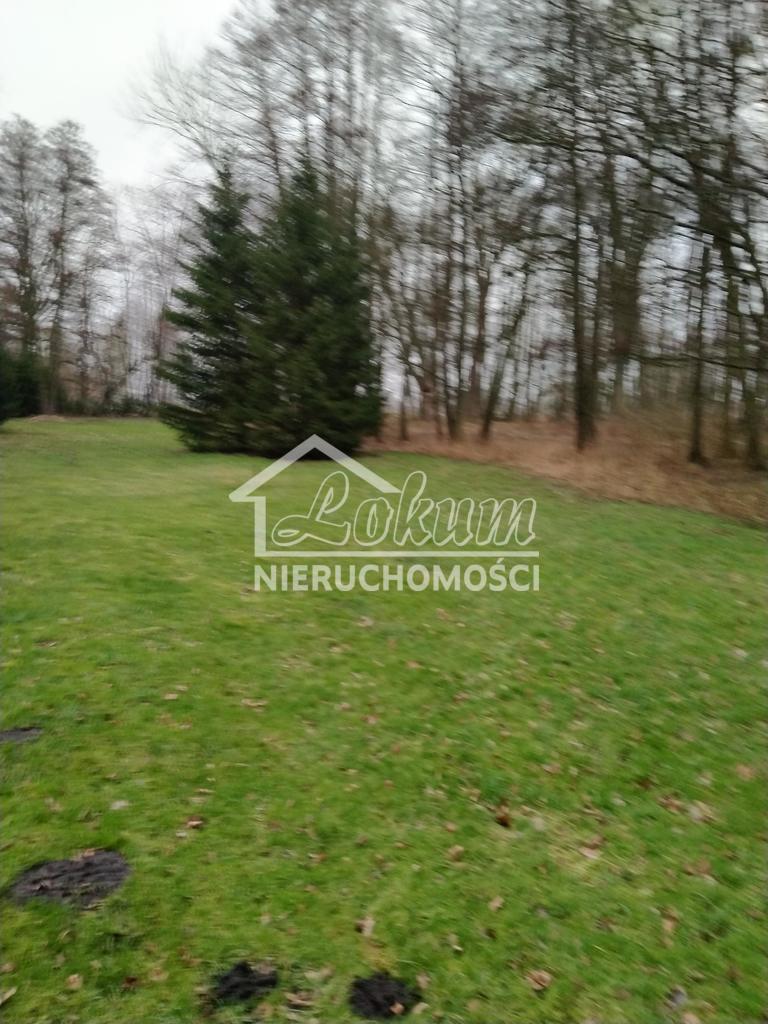 Działka budowlana 2000&nbsp;m², Rzędziny - zdjęcie 7