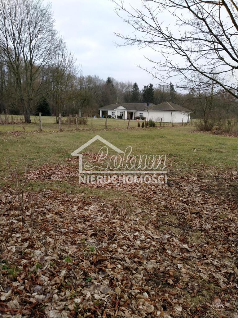 Działka budowlana 2000&nbsp;m², Rzędziny - zdjęcie 17