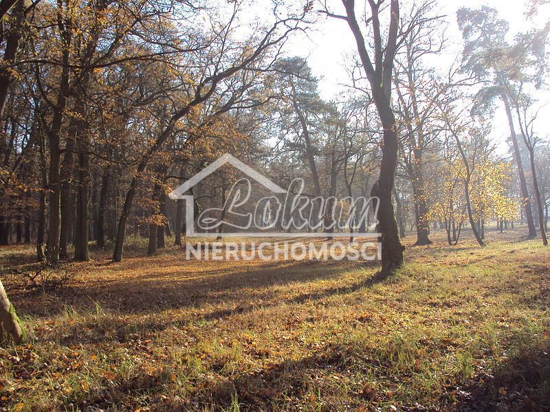Działka budowlana 2000&nbsp;m², Rzędziny - zdjęcie 5