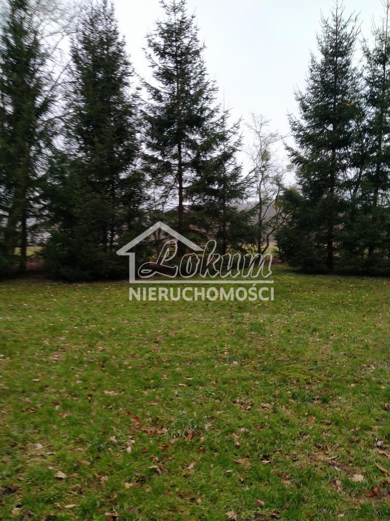 Działka budowlana 2000&nbsp;m², Rzędziny - zdjęcie 3