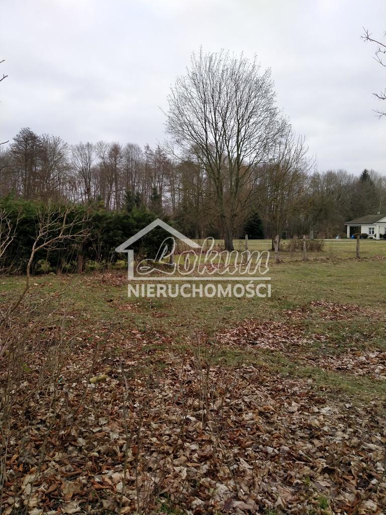 Działka budowlana 2000&nbsp;m², Rzędziny - zdjęcie 14