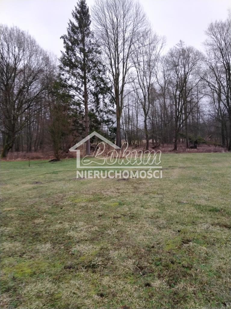 Działka budowlana 2000&nbsp;m², Rzędziny - zdjęcie 9