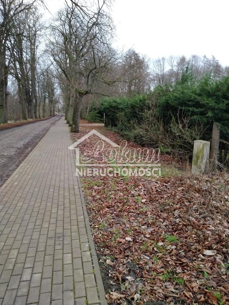 Działka budowlana 2625&nbsp;m², Rzędziny - zdjęcie 9