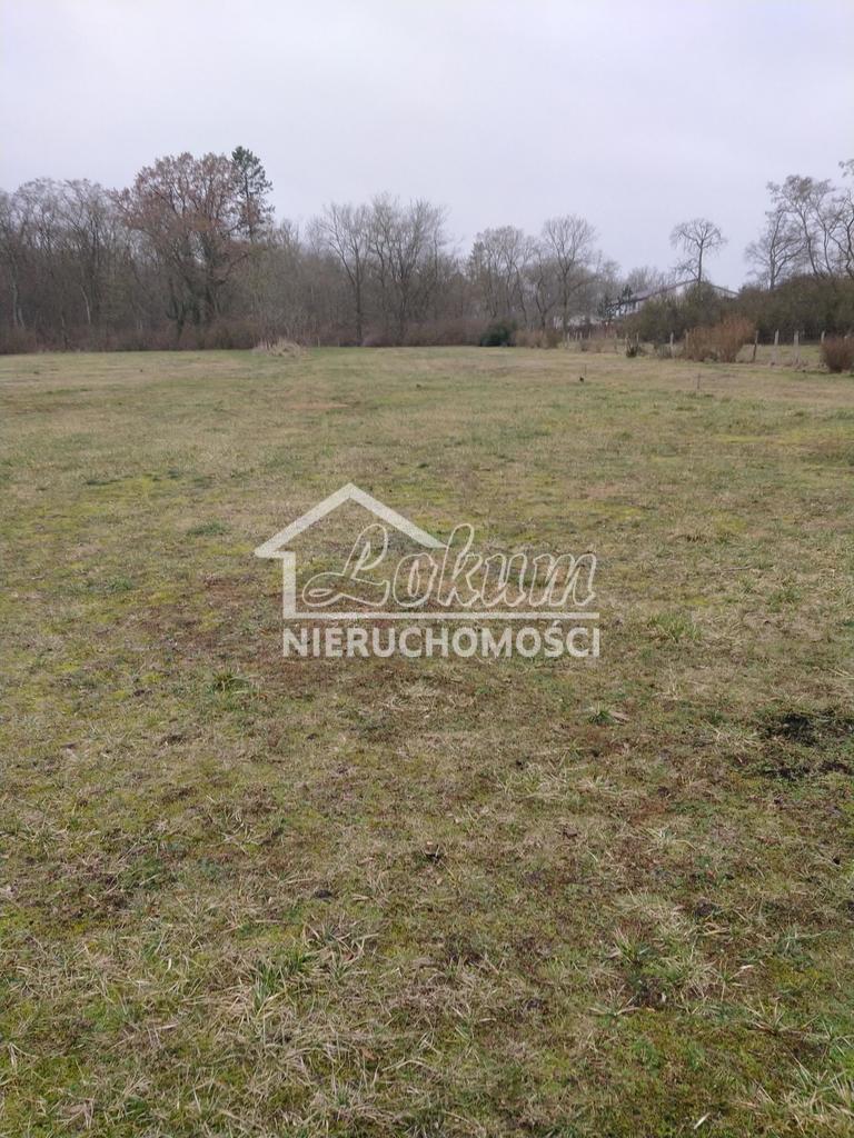 Działka budowlana 2625&nbsp;m², Rzędziny - zdjęcie 11