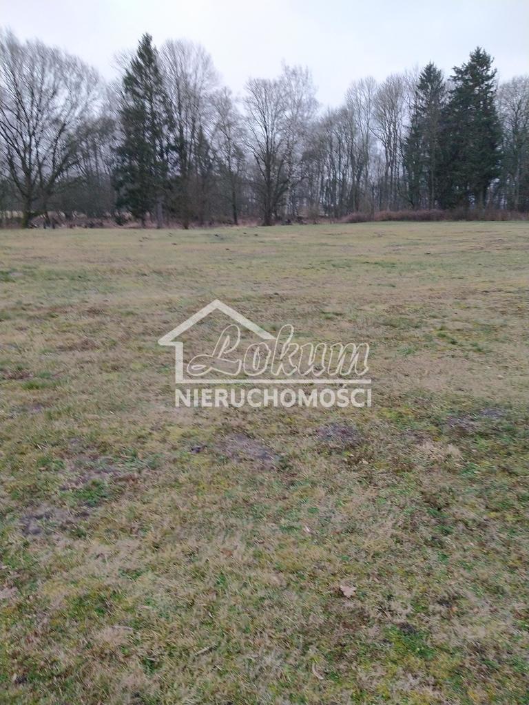 Działka budowlana 2625&nbsp;m², Rzędziny - zdjęcie 13