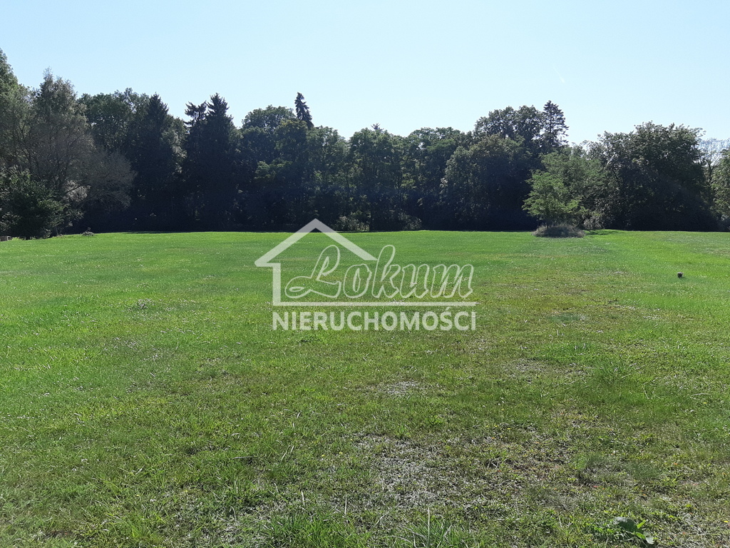 Działka budowlana 2625&nbsp;m², Rzędziny - zdjęcie 2