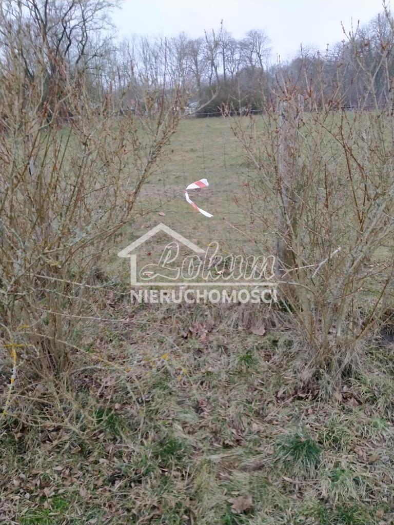 Działka budowlana 2625&nbsp;m², Rzędziny - zdjęcie 12