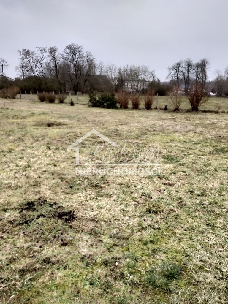 Działka budowlana 2625&nbsp;m², Rzędziny - zdjęcie 8