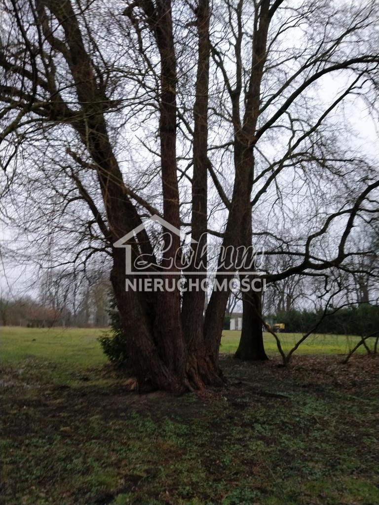 Działka budowlana 2041&nbsp;m², Rzędziny - zdjęcie 6