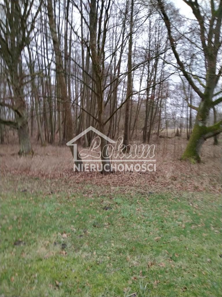 Działka budowlana 2041&nbsp;m², Rzędziny - zdjęcie 9