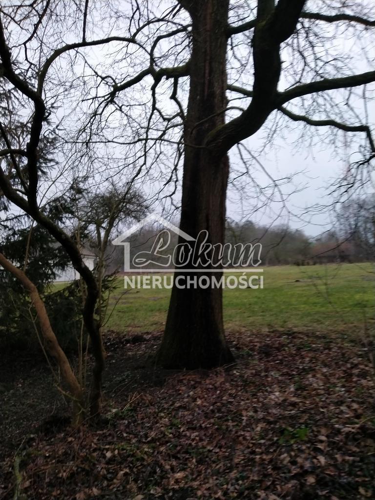 Działka budowlana 2041&nbsp;m², Rzędziny - zdjęcie 5