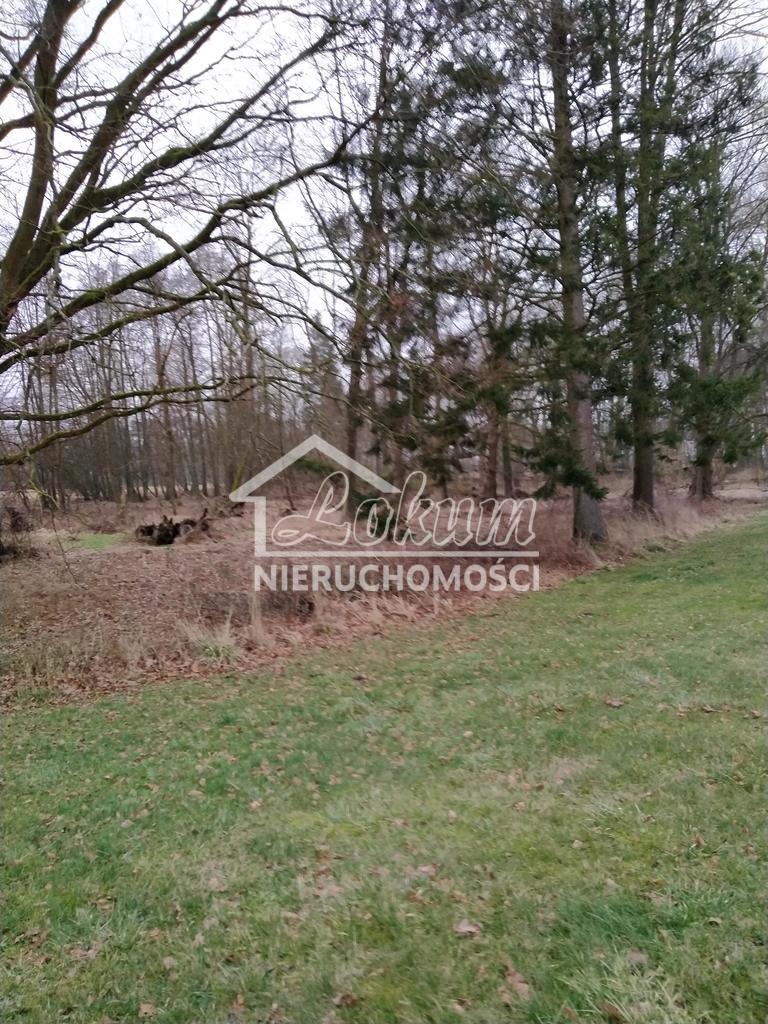 Działka budowlana 2041&nbsp;m², Rzędziny - zdjęcie 10