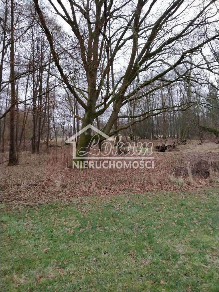 Działka budowlana 2041&nbsp;m², Rzędziny - zdjęcie 8