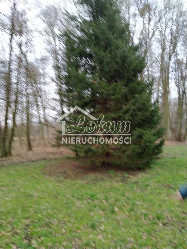 Działka budowlana 2041&nbsp;m², Rzędziny - zdjęcie 12