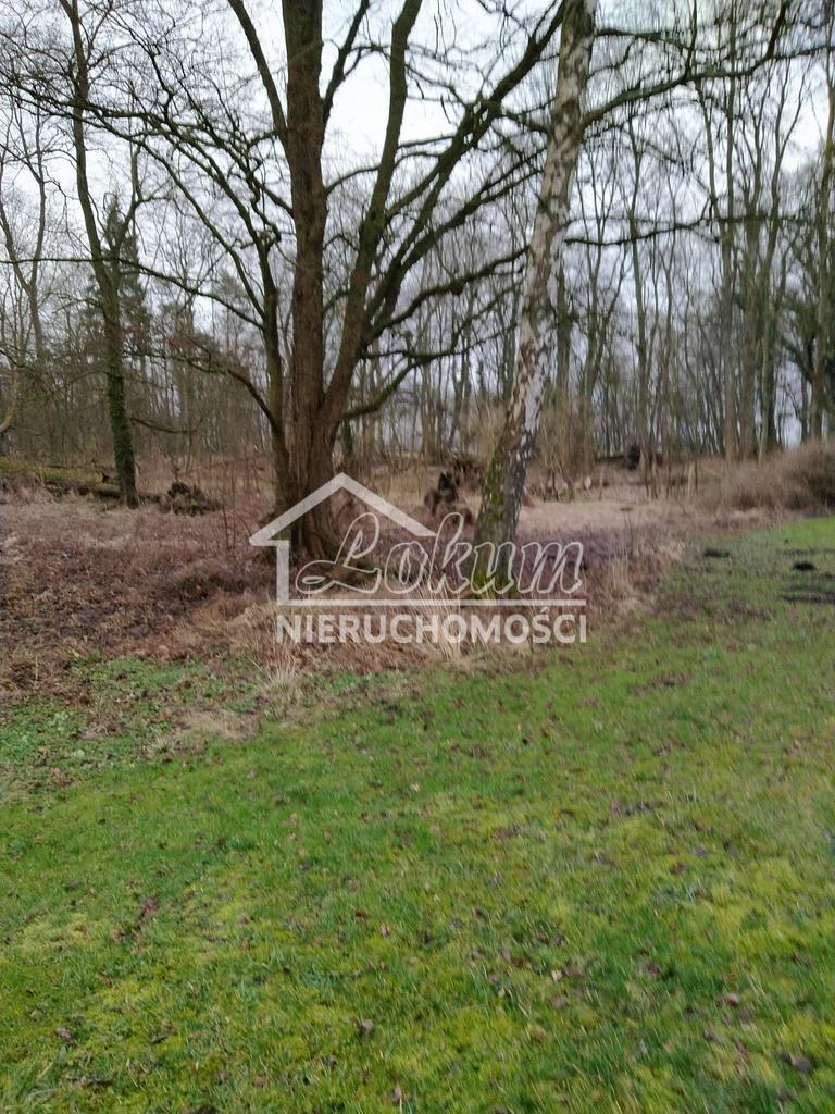 Działka budowlana 2041&nbsp;m², Rzędziny - zdjęcie 14